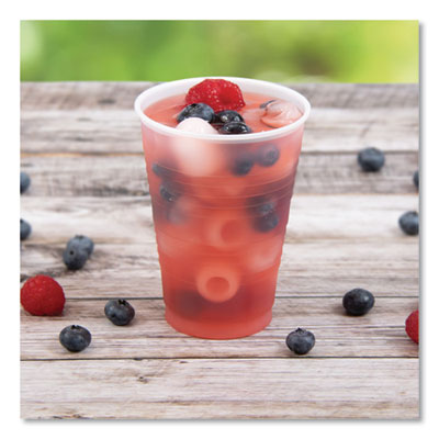High-Impact Polystyrene Cold Cups, 14 oz, Plastic, Transluce