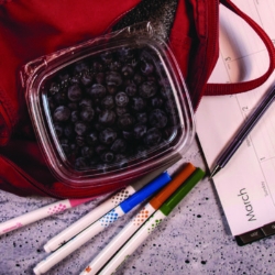 ClearPac SafeSeal Tamper-Resistant/Evident Containers, Flat