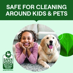 Toilet Bowl Cleaner, Fresh Mint Scent, 24 oz Bottle, 4/Carto