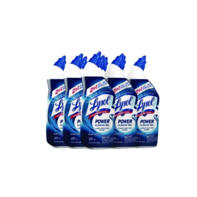 Disinfectant Toilet Bowl Cleaner, Atlantic Fresh Scent, 24 o