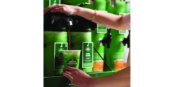 Paper Hot Cups, 16 oz, Green Mountain Design, 1,000/Carton