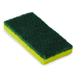 Resort Cut Scrub Sponge, Medium Duty, 6.25" x 3.18", Green/Y