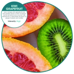 Ourfresh Airfreshener, Kiwi Grapefruit, 8/box