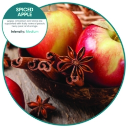 Ourfreshe Refills, Spiced Apple, 6/box