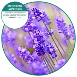 Ourfreshe Refills, Morning Lavender, 6/box