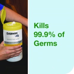 Everwipe by Tork Disinfectant Wipe Canisters, 1-Ply, 7 x 7,