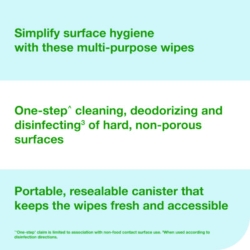 Everwipe by Tork Disinfectant Wipe Canisters, 1-Ply, 7 x 7,