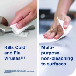 Everwipe by Tork Disinfectant Wipe Canisters, 1-Ply, 7 x 7,