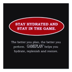 Gameplan Sports Drink, Fruit Punch, 20 oz Bottle, 24/Carton