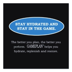 Gameplan Sports Drink, Mixed Berry, 20 oz Bottle, 24/Carton