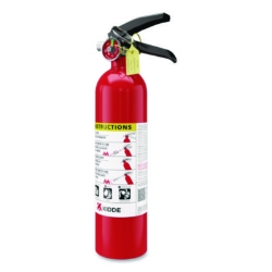 ProLine Dry-Chemical Commercial Fire Extinguisher, 1-A:10-B: