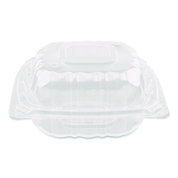 Polypropylene Plastic Hinged Container, 6 x 6 x 3.3, Clear,