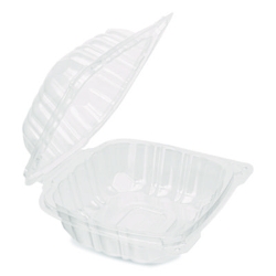 Polypropylene Plastic Hinged Container, 6 x 6 x 3.3, Clear,