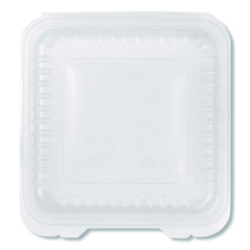 Polypropylene Plastic Hinged Container, 9.35 x 9.22 x 3.17,