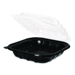 Polypropylene Plastic Hinged Container, 9 x 9 x 3, Black/Cle