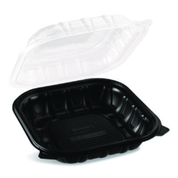 Polypropylene Plastic Hinged Container, 9 x 9 x 3, Black/Cle