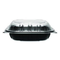 Polypropylene Plastic Hinged Container, 9 x 9 x 3, Black/Cle