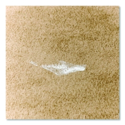 Professional Carpet Stain Remover Plus Deodorizer, Lemon Sce