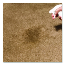Professional Carpet Stain Remover Plus Deodorizer, Lemon Sce