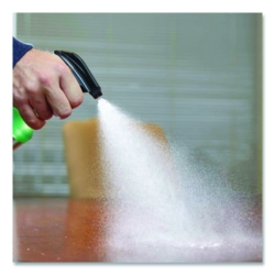 Professional General Purpose Cleaner, 32 oz Spray Bottle, 6/