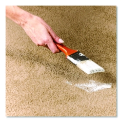 Professional Carpet Stain Remover Plus Deodorizer, Lemon Sce