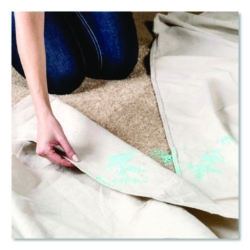 Professional Carpet Stain Remover Plus Deodorizer, Lemon Sce