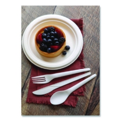 Plantware Compostable Cutlery, Knife, Plastic, Pearl White,