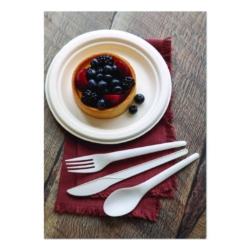Plantware Compostable Cutlery, Spoon, Plastic, Pearl White,