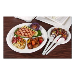 Plantware Compostable Cutlery, Spoon, Plastic, Pearl White,