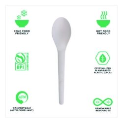 Plantware Compostable Cutlery, Spoon, Plastic, White, 1,000/