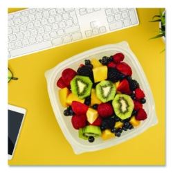 Square Plastic Bowls, 32 oz, 5 x 5 x 1.49, Clear, Plastic, 6