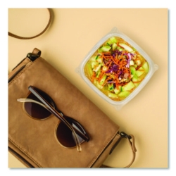 Square Plastic Bowls, 8 oz, 8.5 x 8.5 x 1.51, Clear, Plastic