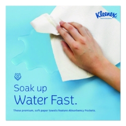 Hard Roll Paper Towels with Premium Absorbency Pockets with