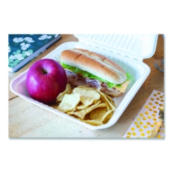 ChampWare Molded-Fiber Clamshell Containers, 9 x 9 x 3, Whit