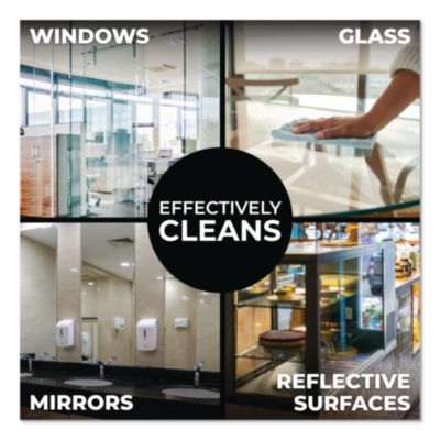 Pro Glass Cleaner, 1 gal Bottle, 4/Carton