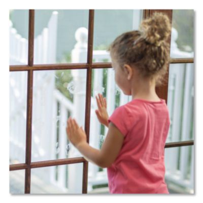 Professional Glass Cleaner, 32 oz Spray Bottle, 6/Carton