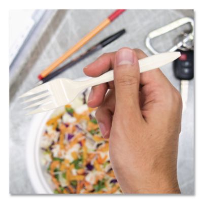 Style Setter Medium Weight Polypropylene Cutlery, Fork, Plas