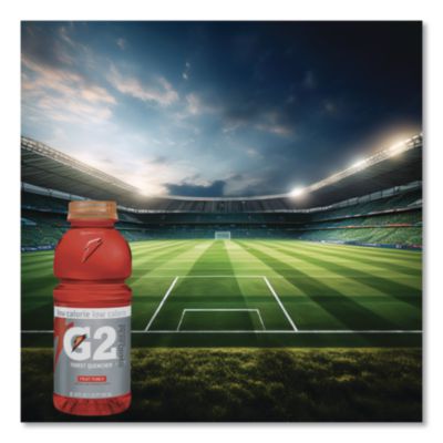 G2 Perform 02 Low-Calorie Thirst Quencher, Fruit Punch, 20 O