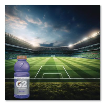 G2 Perform 02 Low-Calorie Thirst Quencher, Grape, 20 Oz Bott