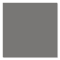 Professional Spray Paint, Flat Gray, 15 oz Aerosol Can, 6/Ca