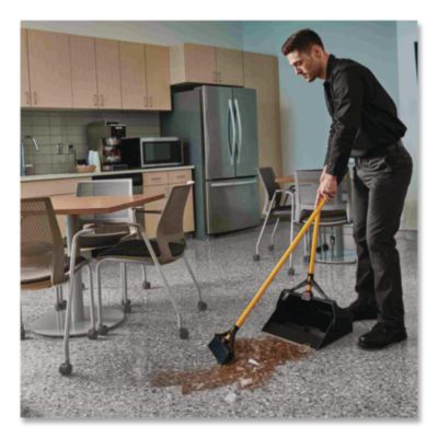 Maximizer Wet/Dry Debris Pan, 16.88 x 29, 29" Handle, Plasti