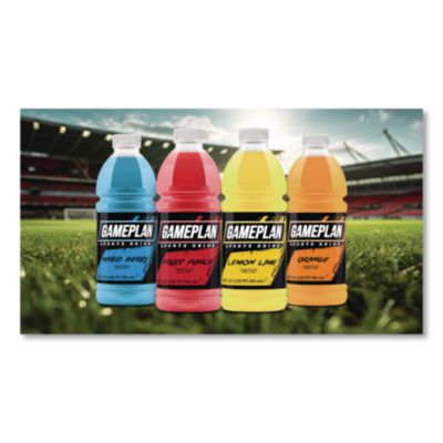 Gameplan Sports Drink, Fruit Punch, 20 oz Bottle, 24/Carton