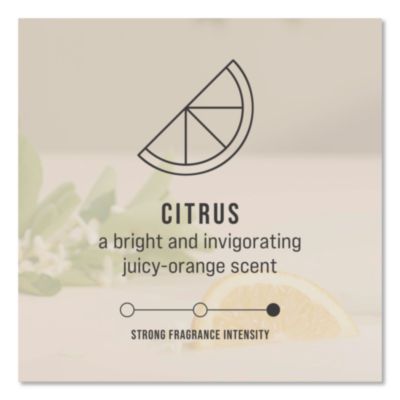 CirculAir 90 Passive Air Care Refill, Citrus, 1.62 oz, 6/Car