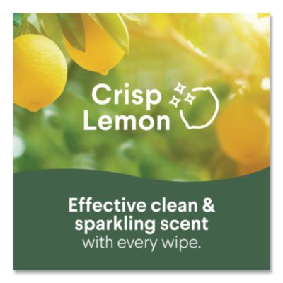 Disinfecting Wipes, Cleaning Wipes, 1-Ply, 7 x 8, Fresh Scen