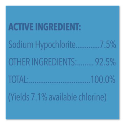 Concentrated Regular Disinfecting Bleach, Unscented, 43 oz B