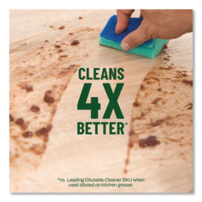Multi-Surface Cleaner Disinfectant Concentrated, Pine Scent,