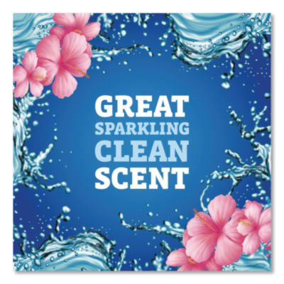 CloroxPro Multi-Surface Cleaner Concentrated, Sparkling Wave