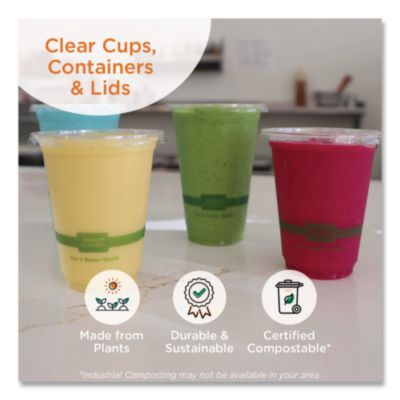 PLA Salad Bowls, 16 oz, 5.4" dia x 2.7"h, Clear, Plastic, 45