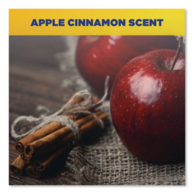 Shell Shock Heavy Duty Soy-Based Hand Cleaner, Cinnamon Scen