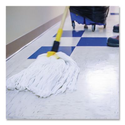 No-Rinse Floor Disinfectant, 1 gal, 4/Carton